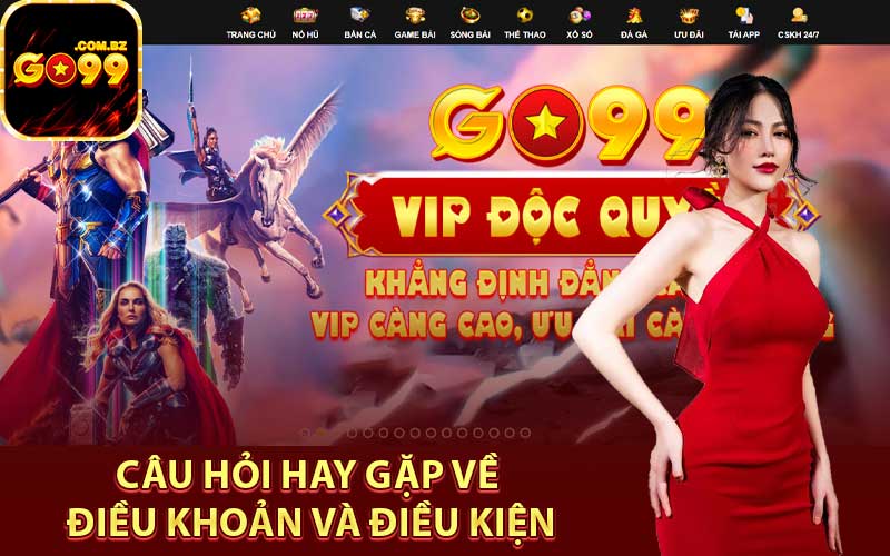 Câu hỏi hay gặp về điều khoản và điều kiện